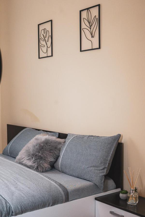 Central And Modern Apartment With Free Parking Temeşvar Dış mekan fotoğraf